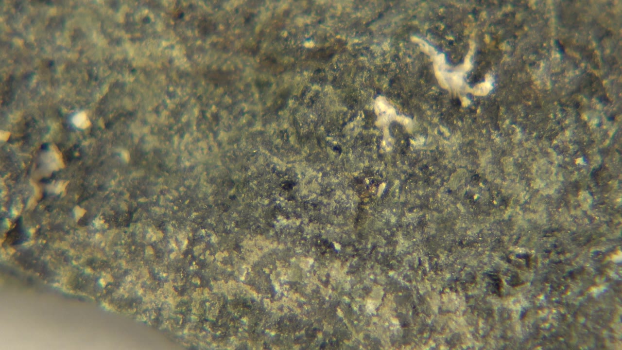 Textured mineral face with small dark pits and pale marks.