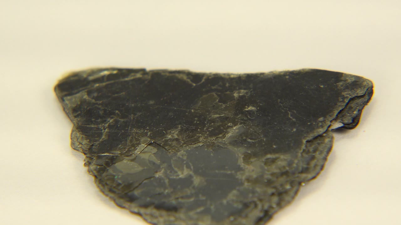 Close view of the same dark shale fragment in Westminster, Colorado, showing pale scratches, chipped edges, and no visible people.