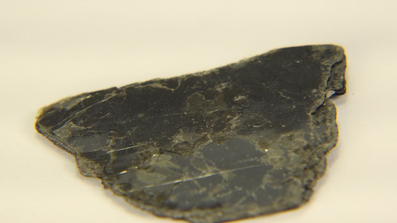 Shale fragment angled across a light surface.