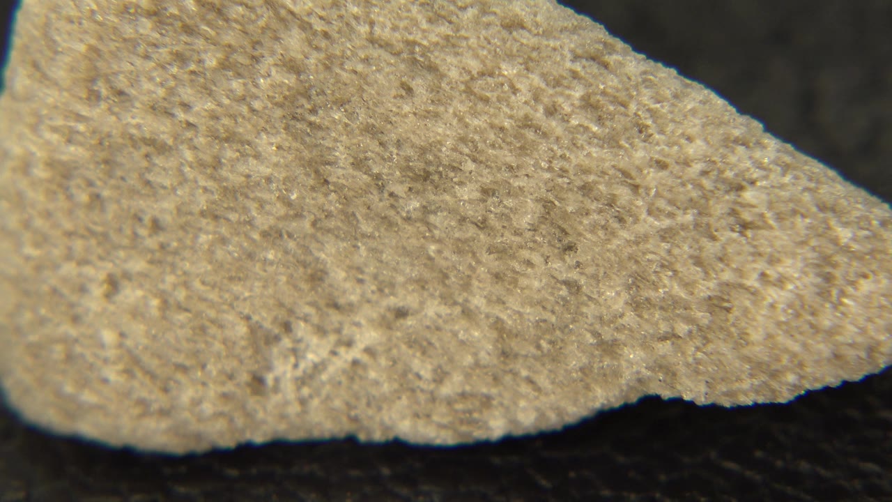 Broad side of a brownish-white rock in close-up.