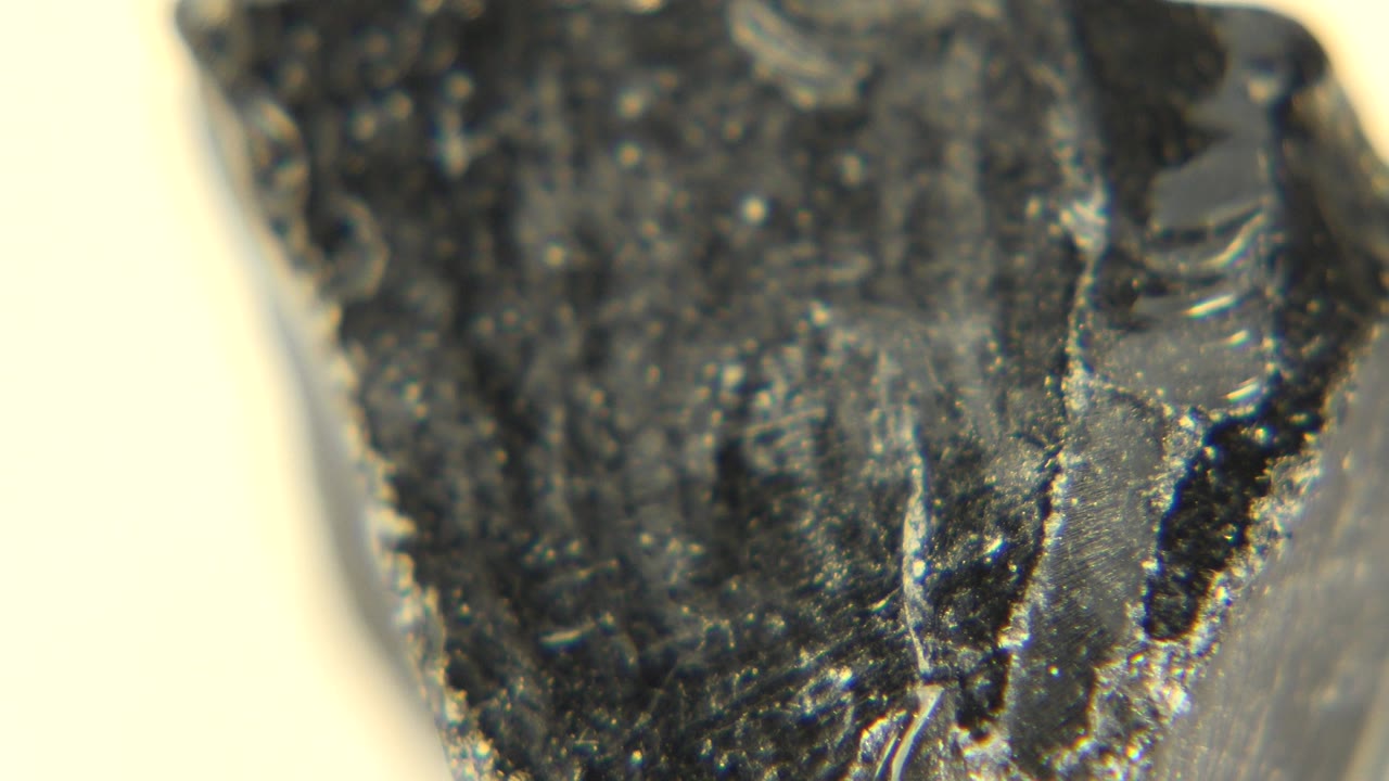 Close macro view of the same dark fossilized rock in Westminster, Colorado, showing a vertical pale edge and scattered dust with no visible people.
