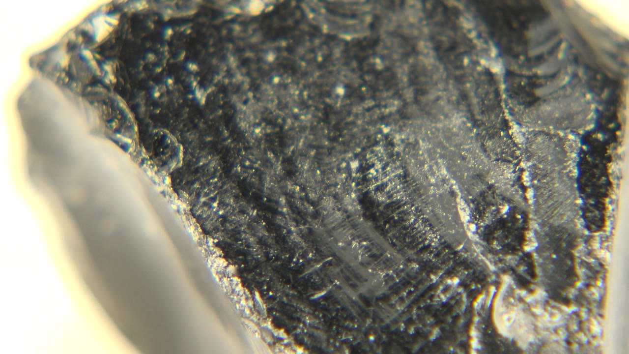 Dark glossy fossil surface with translucent side
