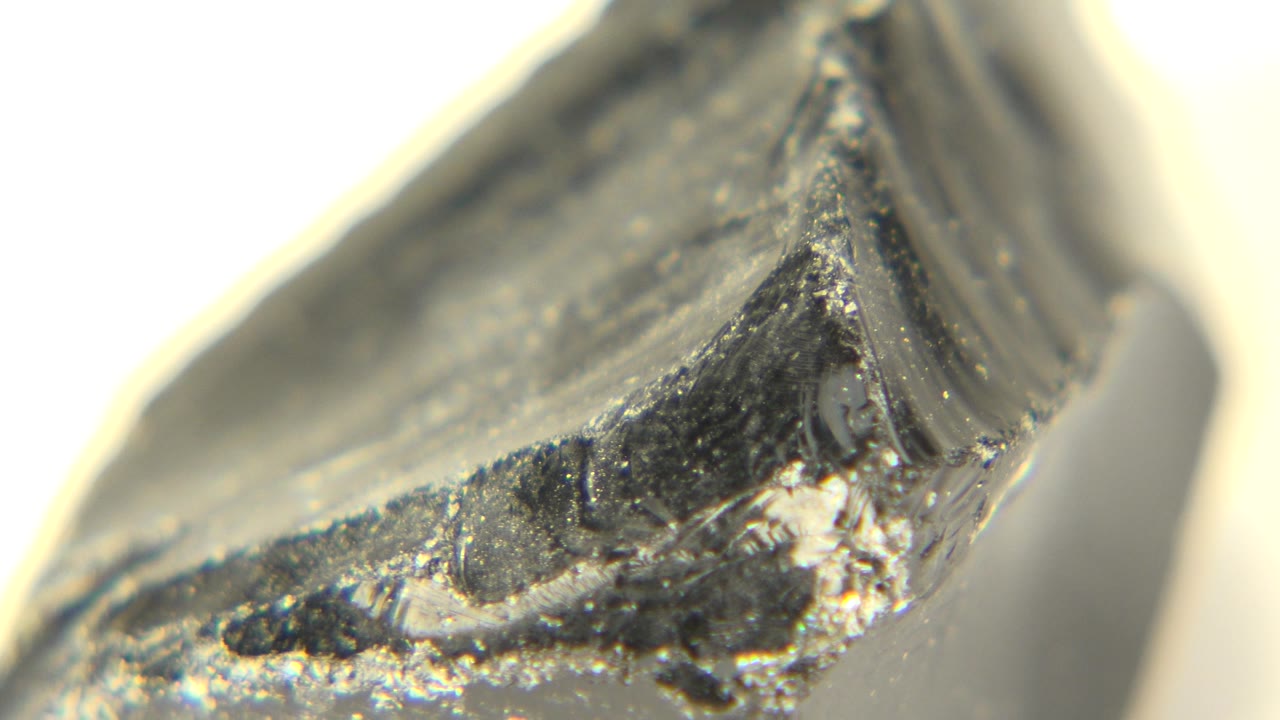 Macro frame from Westminster, Colorado showing the gray stone's central ridge, small bright mineral flecks, soft foreground blur, and no visible people.