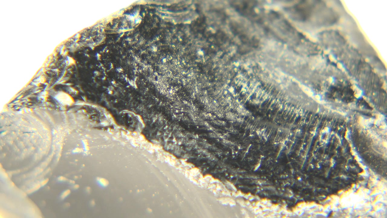 Close-up frame from Westminster, Colorado showing a translucent gray mineral rock with a dark reflective upper face on a white background, no visible people.