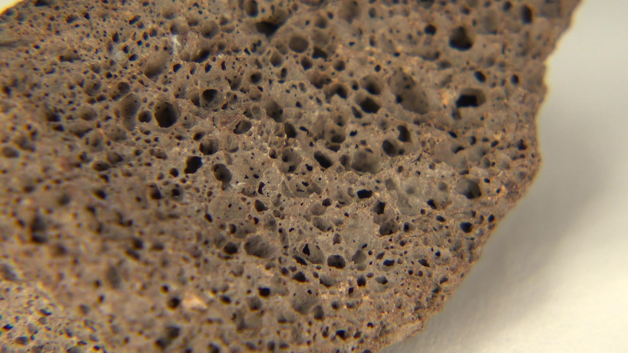 A tight close-up of a pitted brown rock surface in Westminster, Colorado, with a pale blurred background and no visible people.