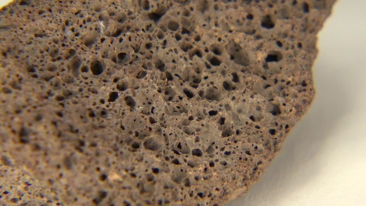 A close frame on the brown holey rock in Westminster, Colorado, showing dense small pits across the upper surface and no visible people.