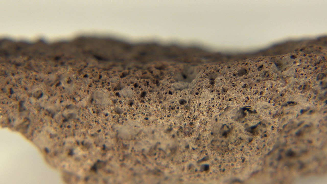A slightly shifted angle shows the brown rock ridge and many dark pores in shallow focus at the Westminster, Colorado display, with no visible people.