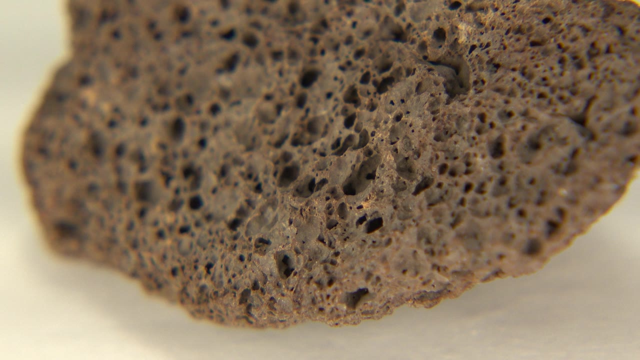 Close-up brown porous sponge surface on a pale background.