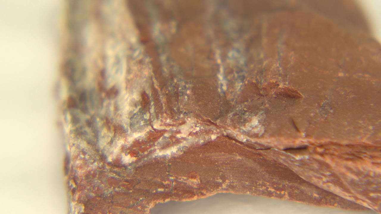 At 0:00, a tight Westminster, Colorado close-up shows the reddish brown rock edge with pale white streaks on a light tabletop and no visible people.
