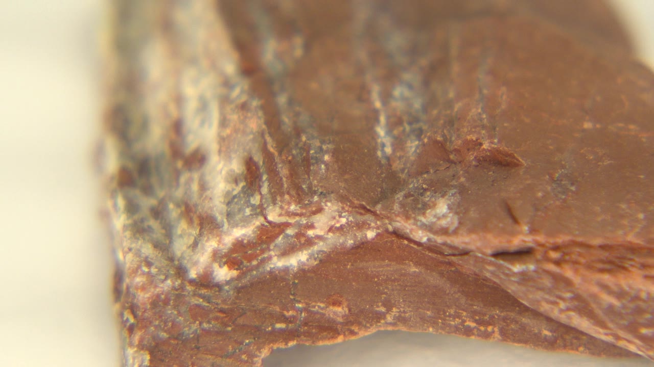 At 0:01, the frame holds on a similar close detail of the Westminster rock, with the white edge band slightly more centered and no visible people.