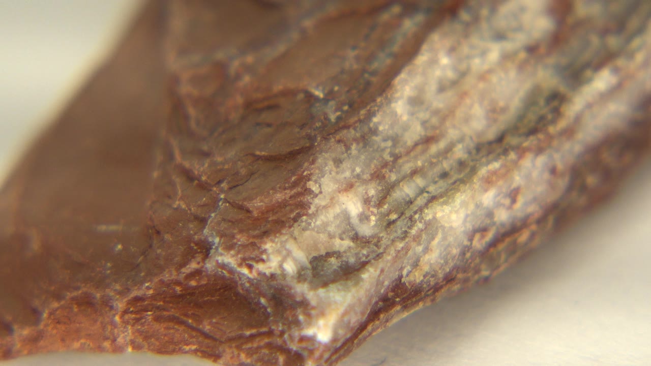 Extreme close-up of a reddish-brown rock in Westminster, Colorado, with pale mineral streaks near the upper edge and no visible people.