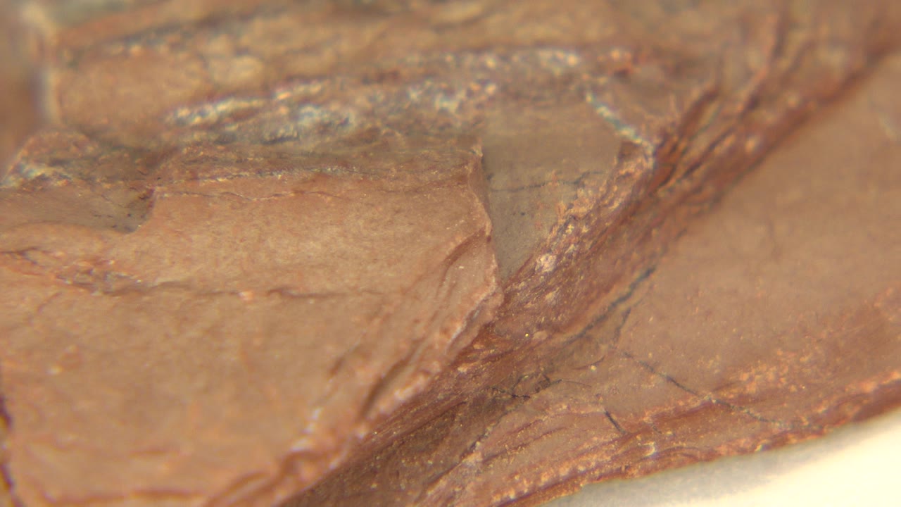 Close-up brown rock surface under white light