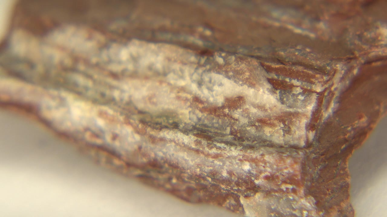 Close-up of a brown precious stone edge with chalky pale deposits and layered texture in Westminster, Colorado, with no visible people.