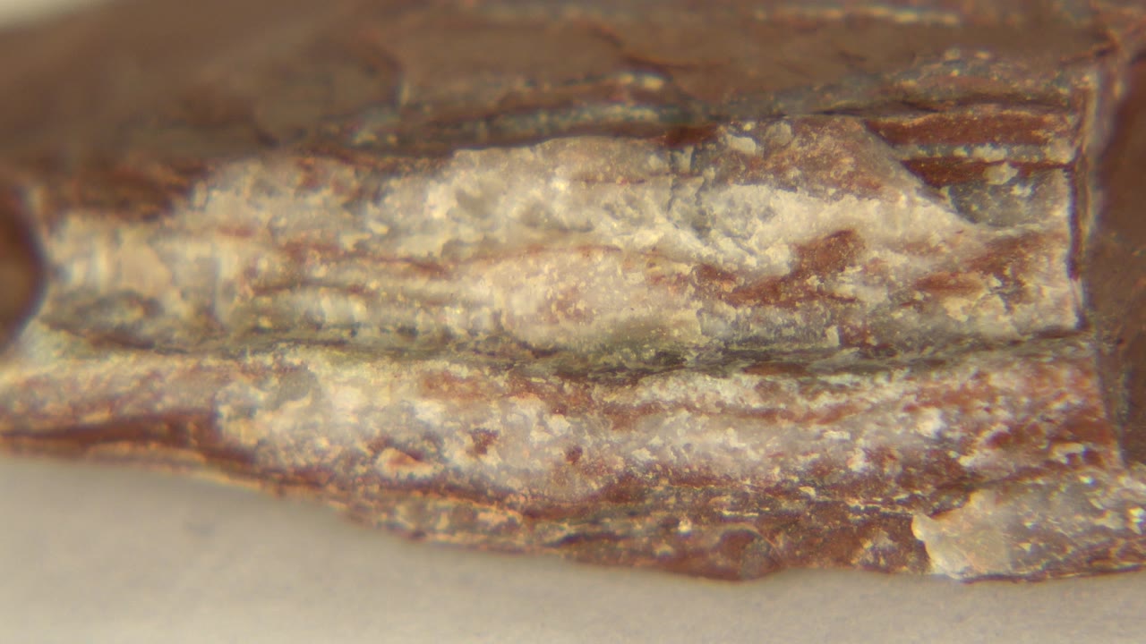 Brown mineral edge with pale rough band across it