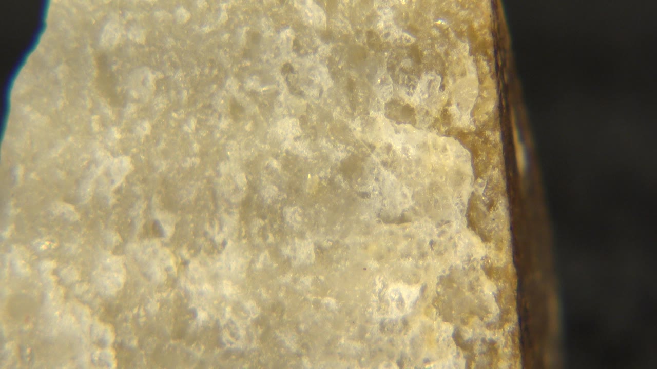 Pale yellow rock edge in extreme close-up against a dark background.