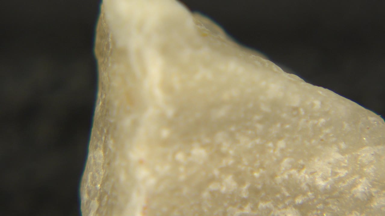 Macro close-up in Westminster, Colorado showing a pale rock fragment with a sloped edge, granular texture, warm highlights, and no visible people.