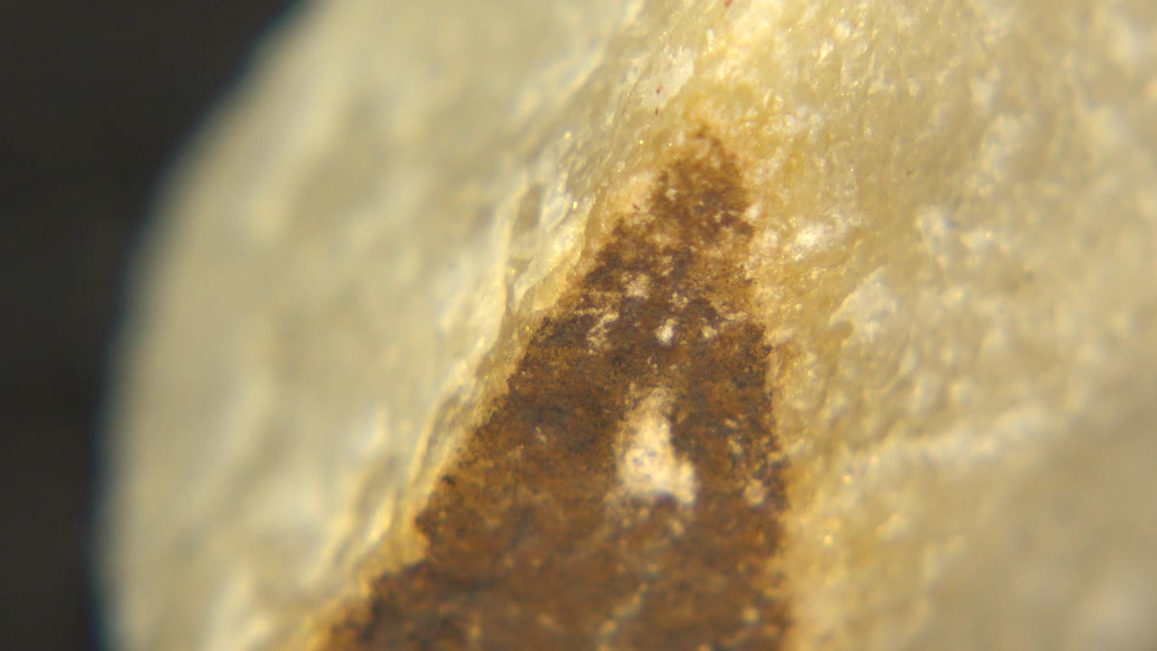 Extreme close-up of a pale yellow Yellowstone-related rock fragment in Westminster, Colorado, with a brown stained area near the center and no visible people.