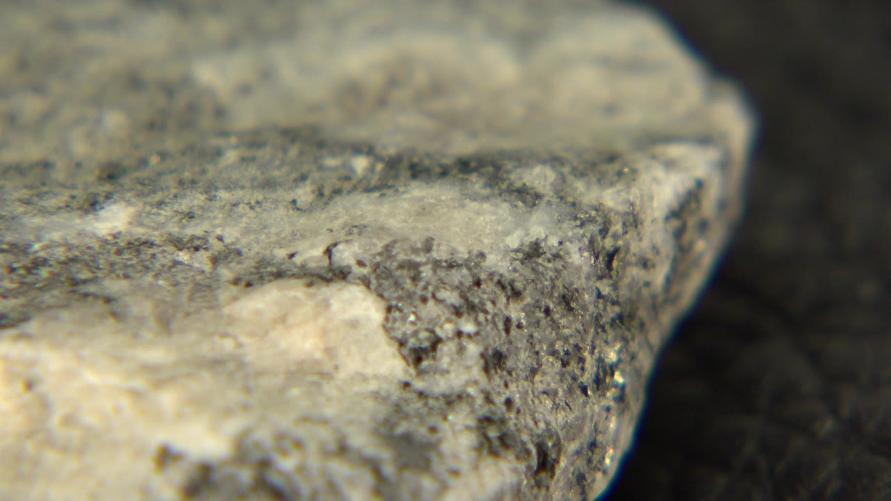 Extreme close-up of a rough gray and cream stone edge in Westminster, Colorado, with shallow focus and no visible people.