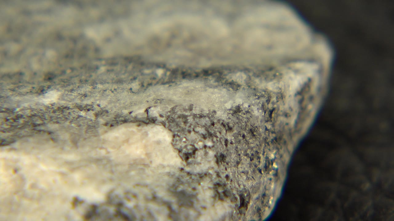 Macro frame of the pitted stone surface in Westminster, Colorado, with pale mineral patches near the lower edge and no visible people.