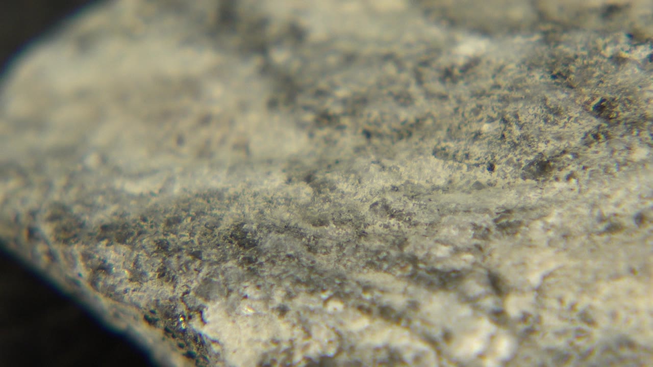 Extreme close view of a pale gray stone surface with dark speckling and a blurred edge in Westminster, Colorado, with no visible people.