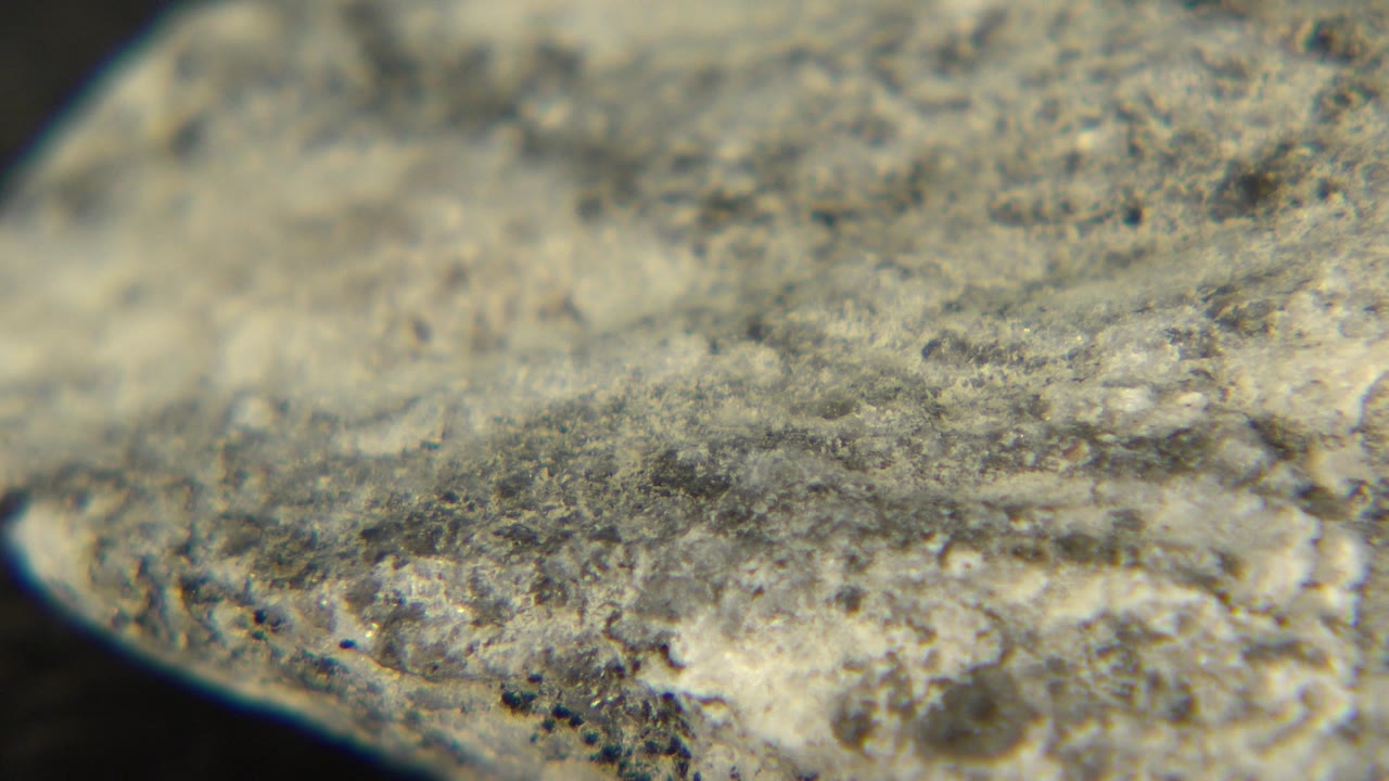 Pale stone ridge with mottled gray and tan surface detail.