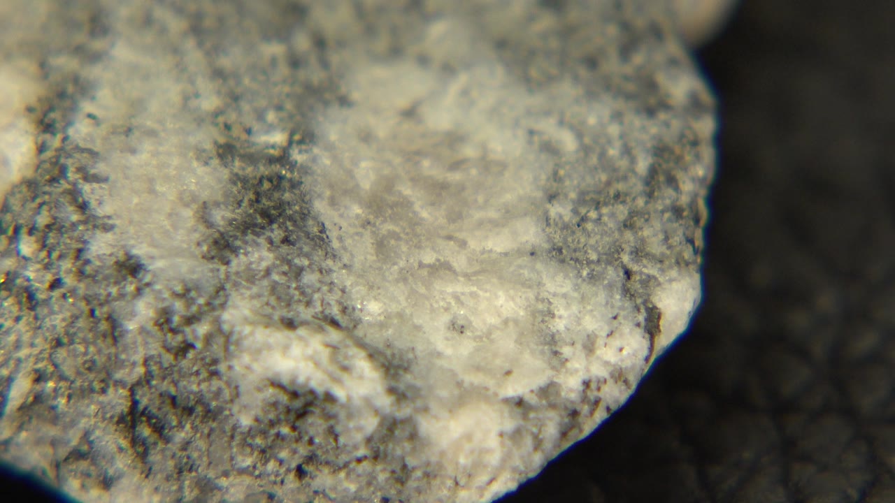 Close macro view of a pale gray and white rock edge on a dark granular floor in Westminster, Colorado, with no visible people.