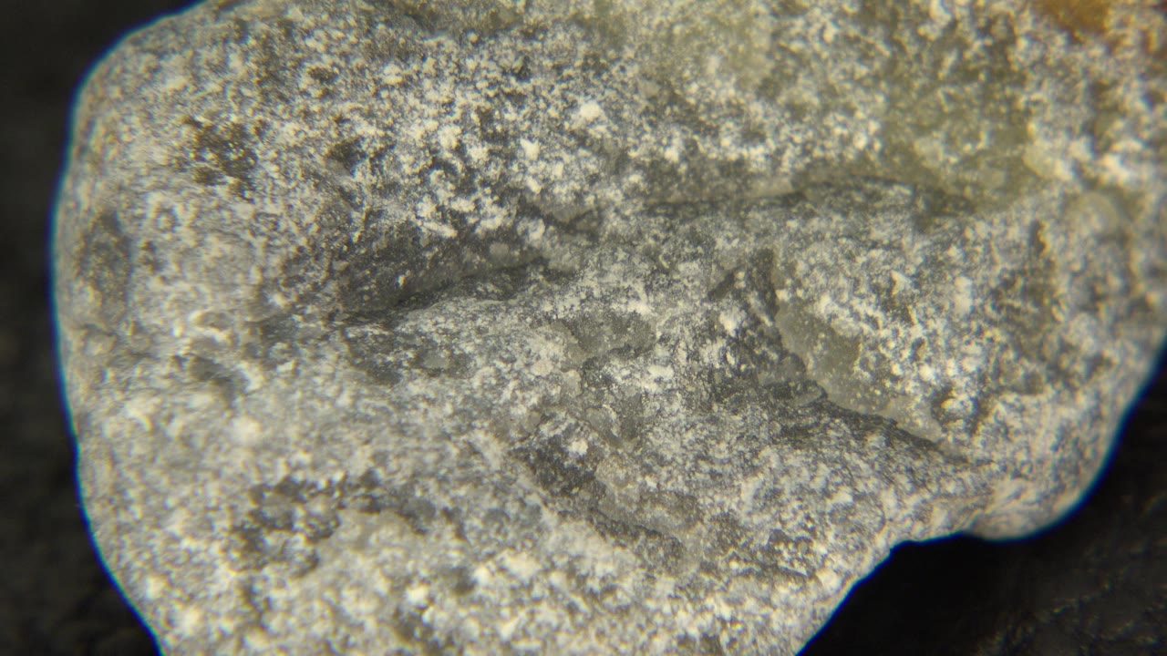 Rounded stone close-up with darker central markings.