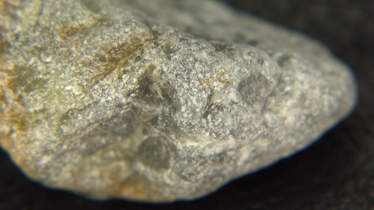 A gray rock with brown specks fills the frame in Westminster, Colorado, with a dark blurred background and no visible people.