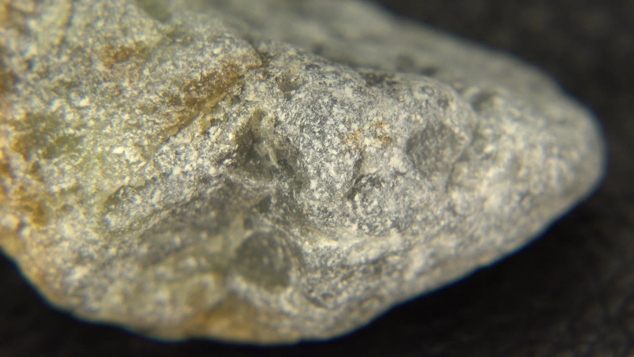 The rock remains tightly framed in Westminster, Colorado, showing pale granular texture and brown staining along one edge, with no visible people.