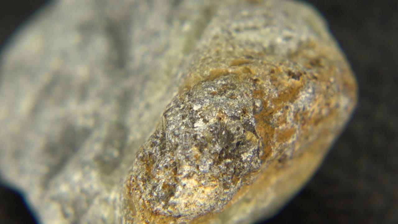 At 0:01, the same gray speckled stone appears slightly reoriented, with a rounded tan-marked side prominent against the dark table and no visible people.