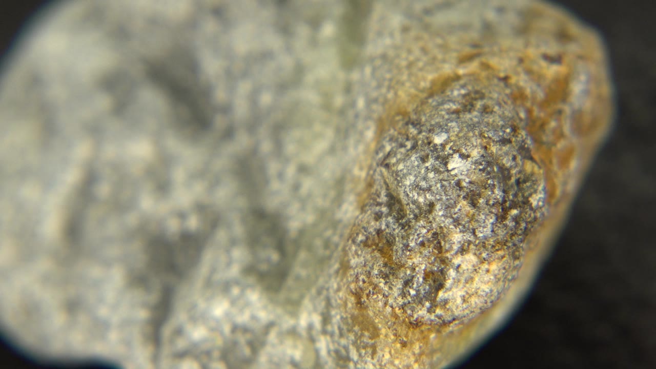 Close macro view of the rock with a tan oval area near the lower right.