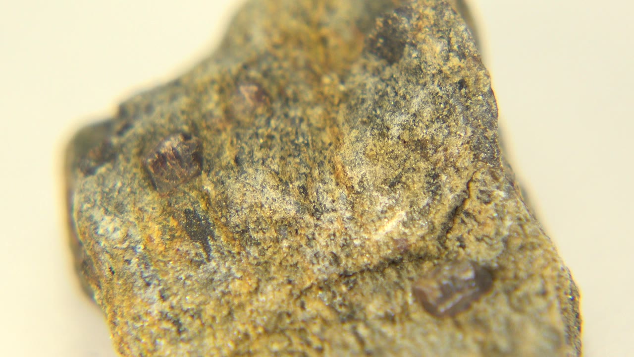 A close-up of the upper face of a sandy gray and tan rock sample from Westminster, Colorado, with shallow focus and no visible people.