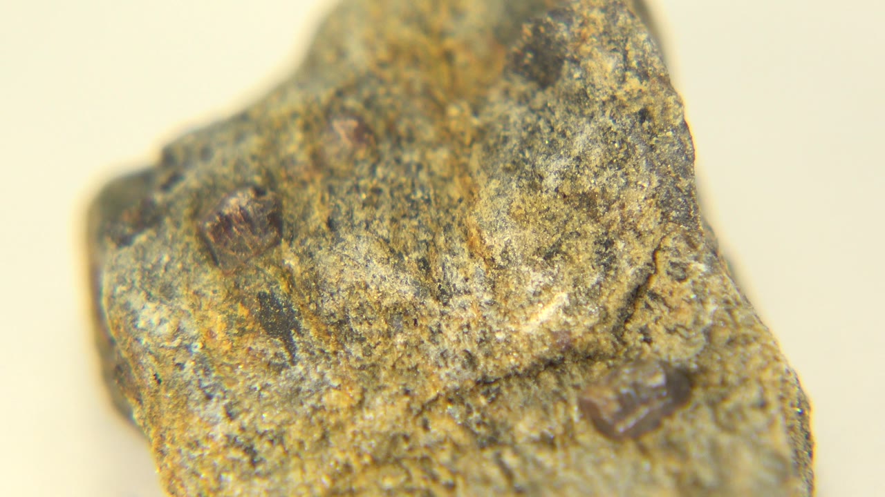 The rock sample remains large in frame, showing a raised edge, mottled gray-tan surface, dark inclusions, and no visible people in Westminster, Colorado footage.