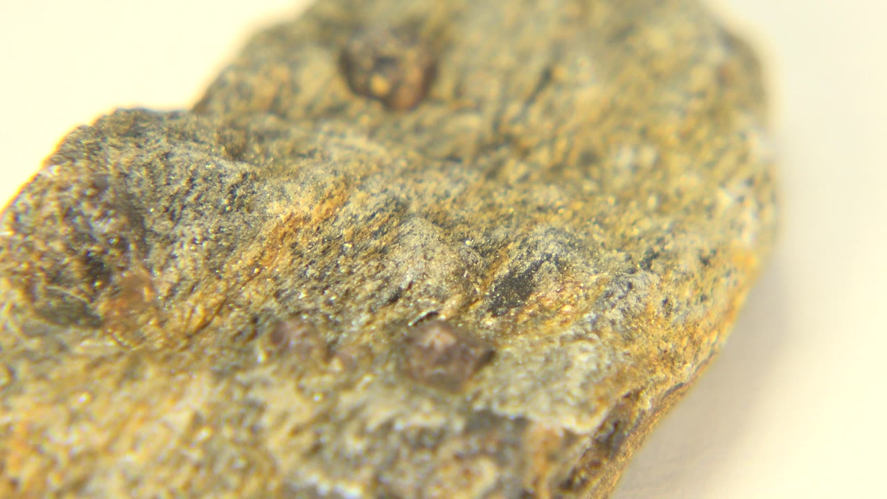 Opening close-up of a tan and gray carved stone surface in Westminster, Colorado, with dark rounded pits and no visible people.