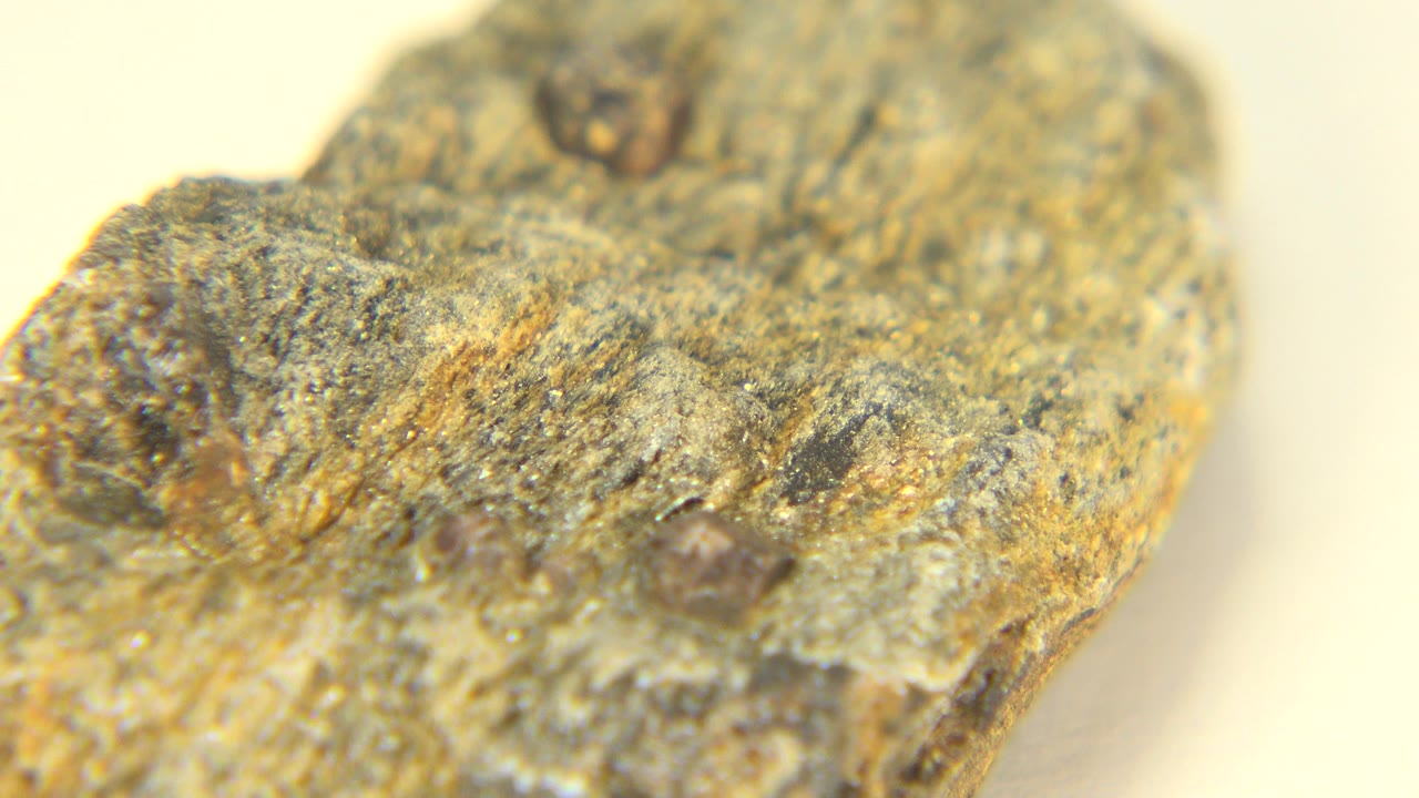 Second close-up in Westminster, Colorado showing raised ochre-gray stone texture, small dark marks, and no visible people.