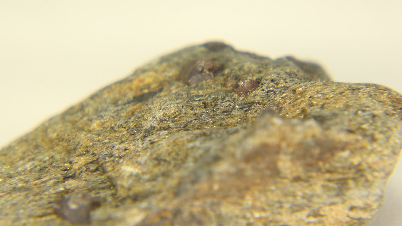 At 0:00, a tan and brown rock fills the lower frame on a pale table in Westminster, Colorado, with no visible people.