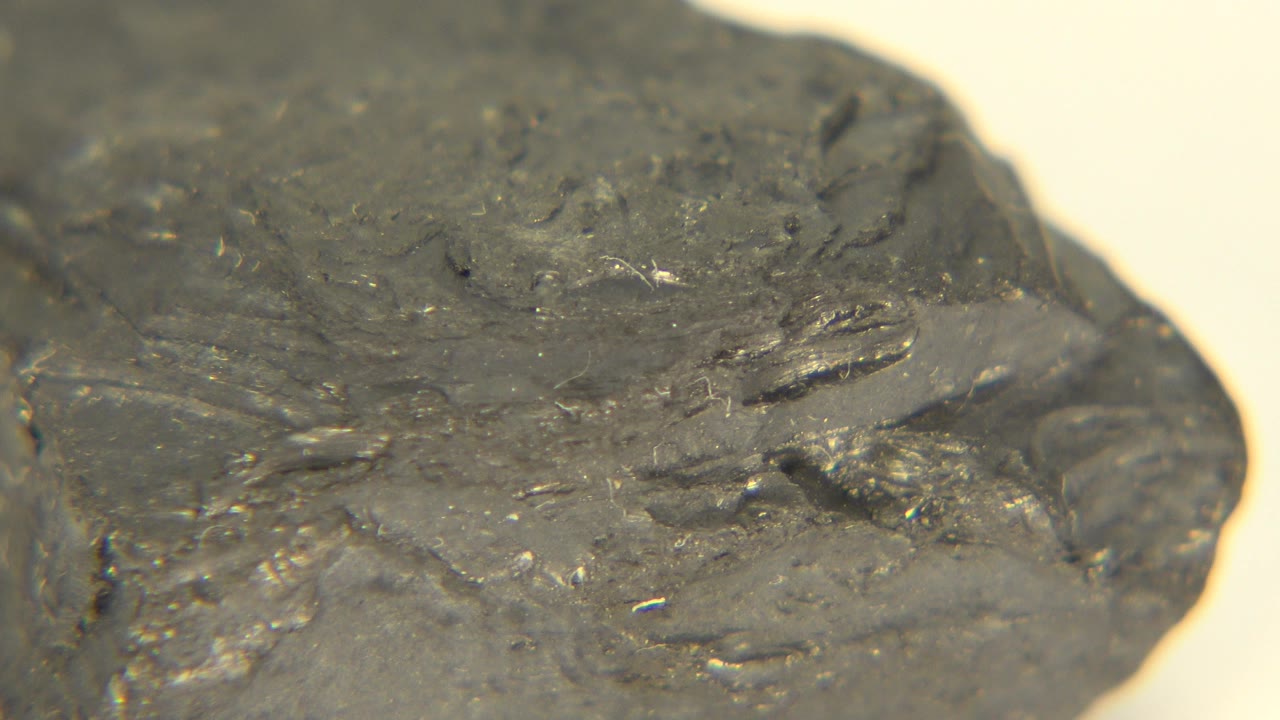A dark grey rock fills the frame in Westminster, Colorado footage, with rough raised texture and a pale cream background, no visible people.