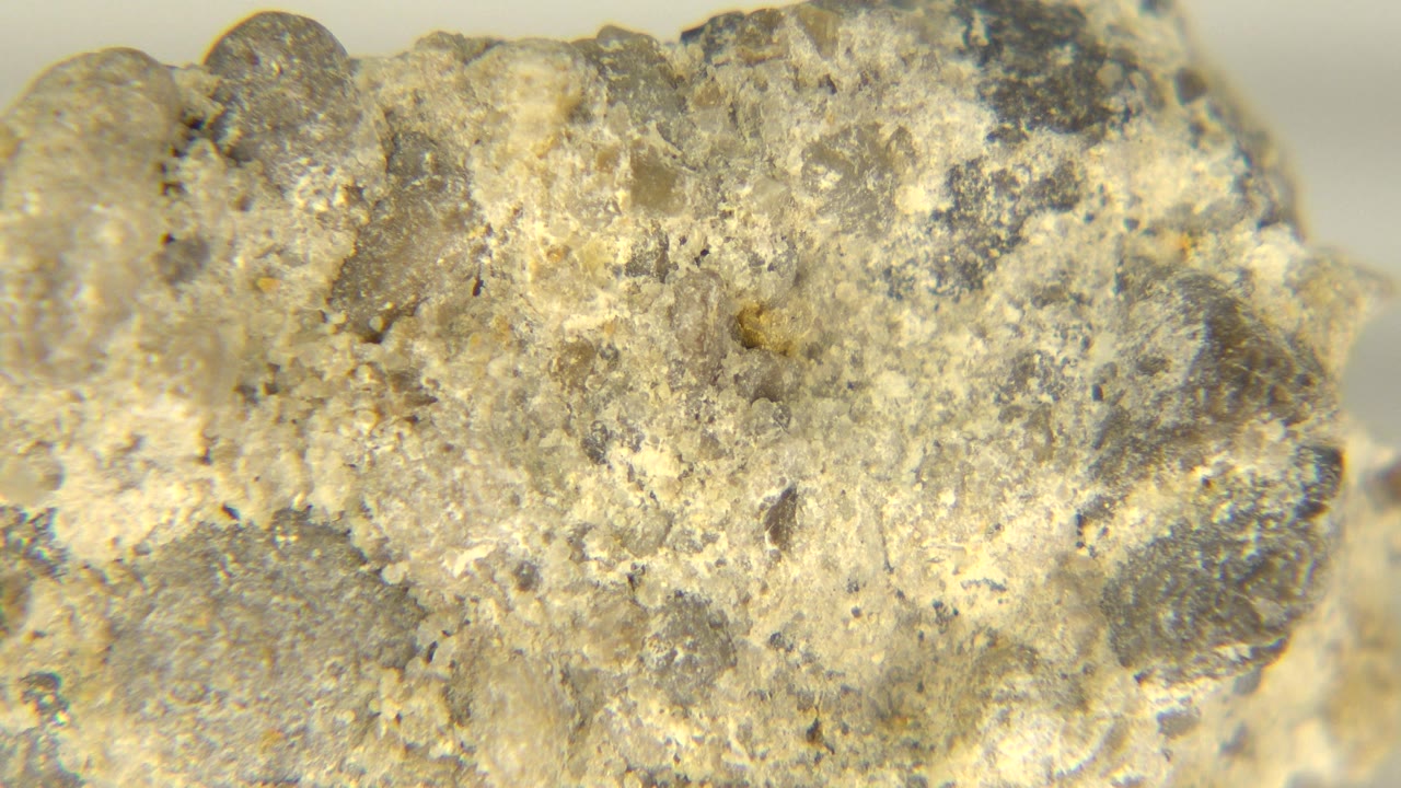 Rock close-up with a broader horizontal face and dark speckled areas.