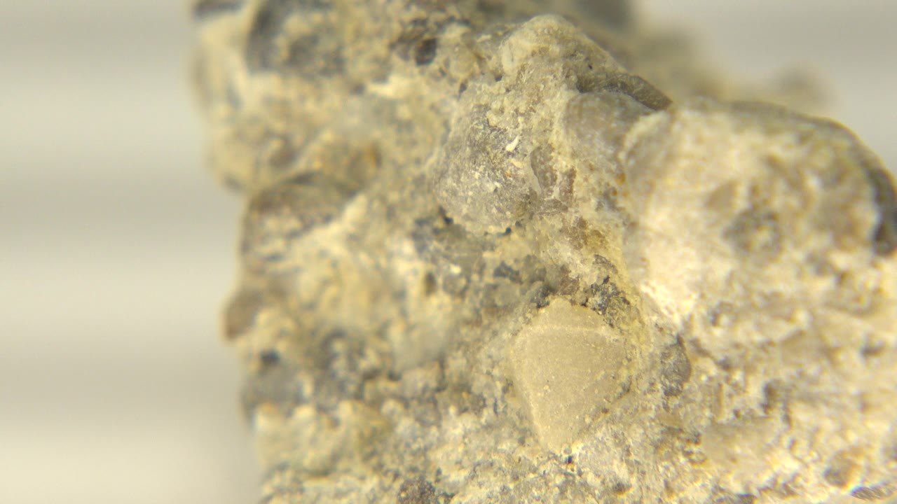 Opening close-up of a rough tan and gray rock on a white floor in Westminster, Colorado, with shallow focus and no visible people.