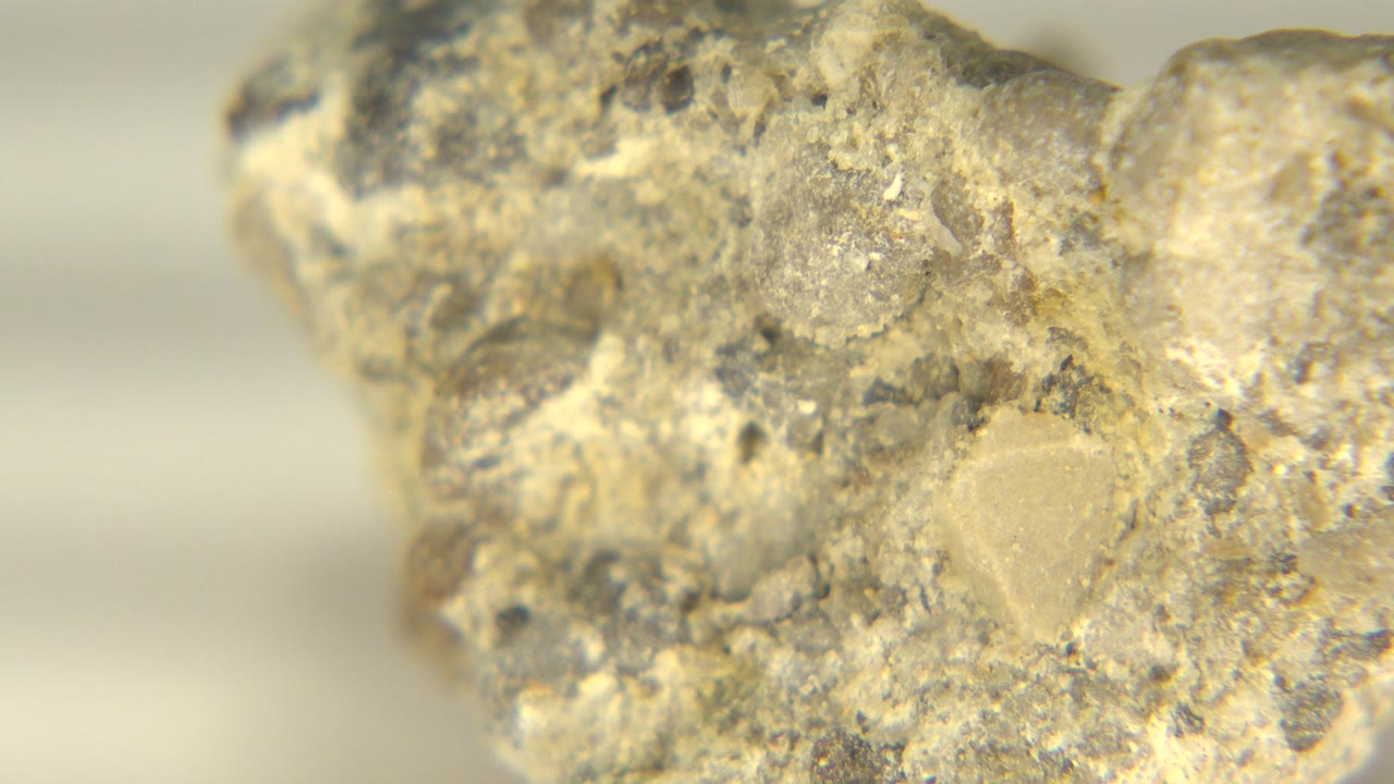 Rock rotated to show a broader gray and cream face.