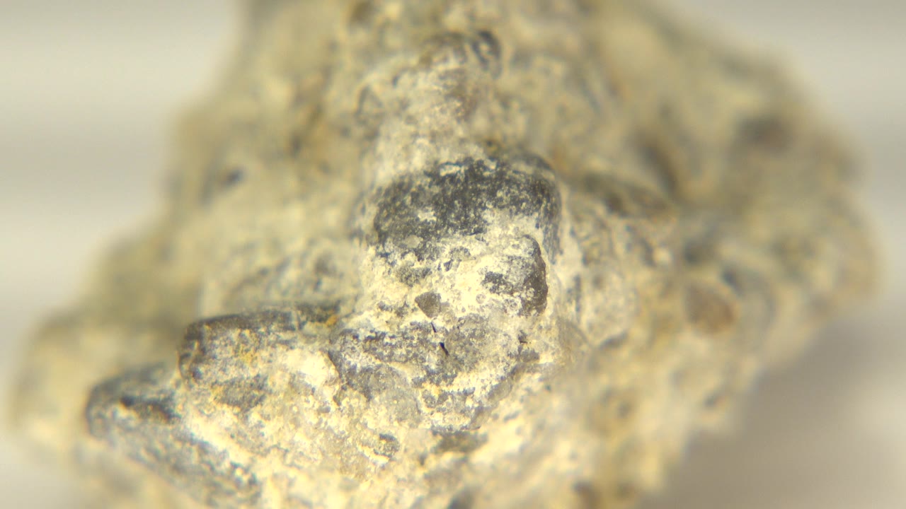 Close-up of a rough tan and gray stone surface.