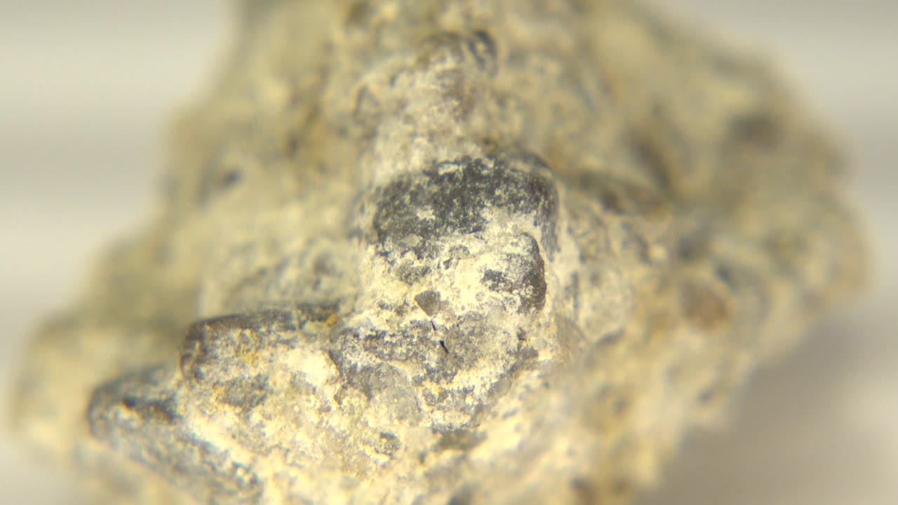A macro frame of the Westminster stone shows a dark rounded mineral patch above a rough pale edge, with the background blurred and no visible people.