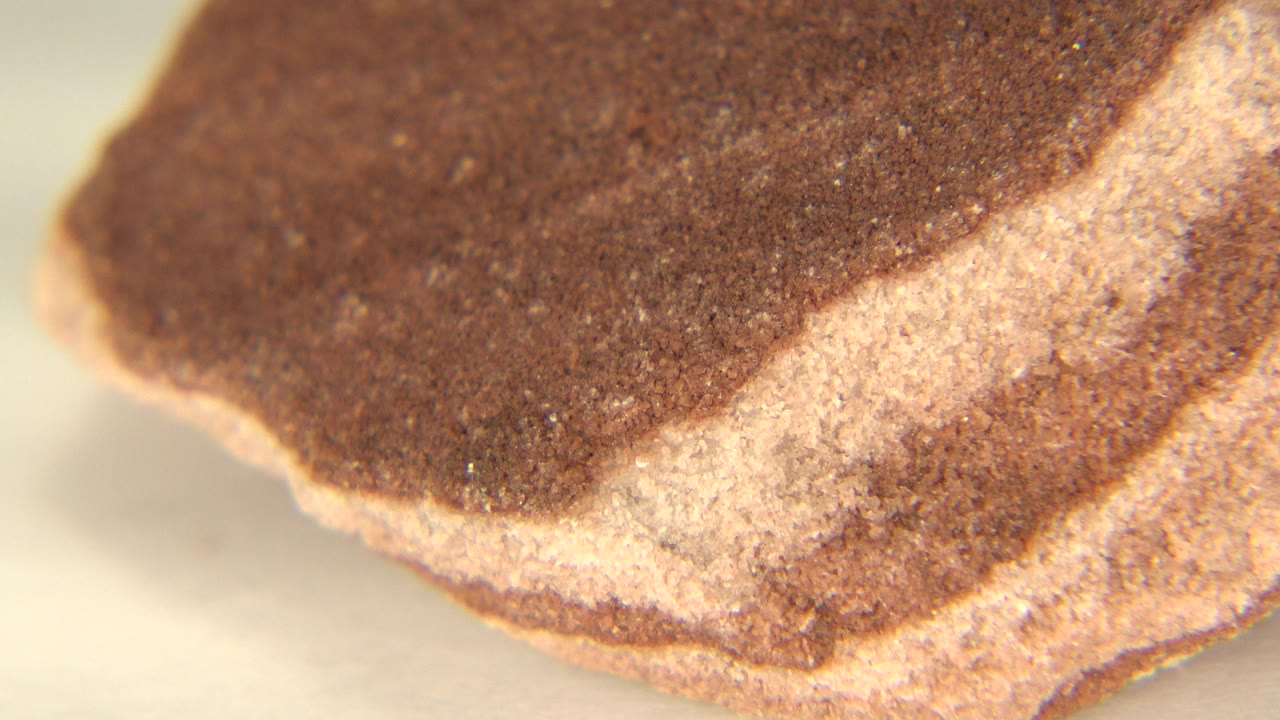 Close view of a brown stone with a pale tan layered edge on a light background in Westminster, Colorado, with no visible people.
