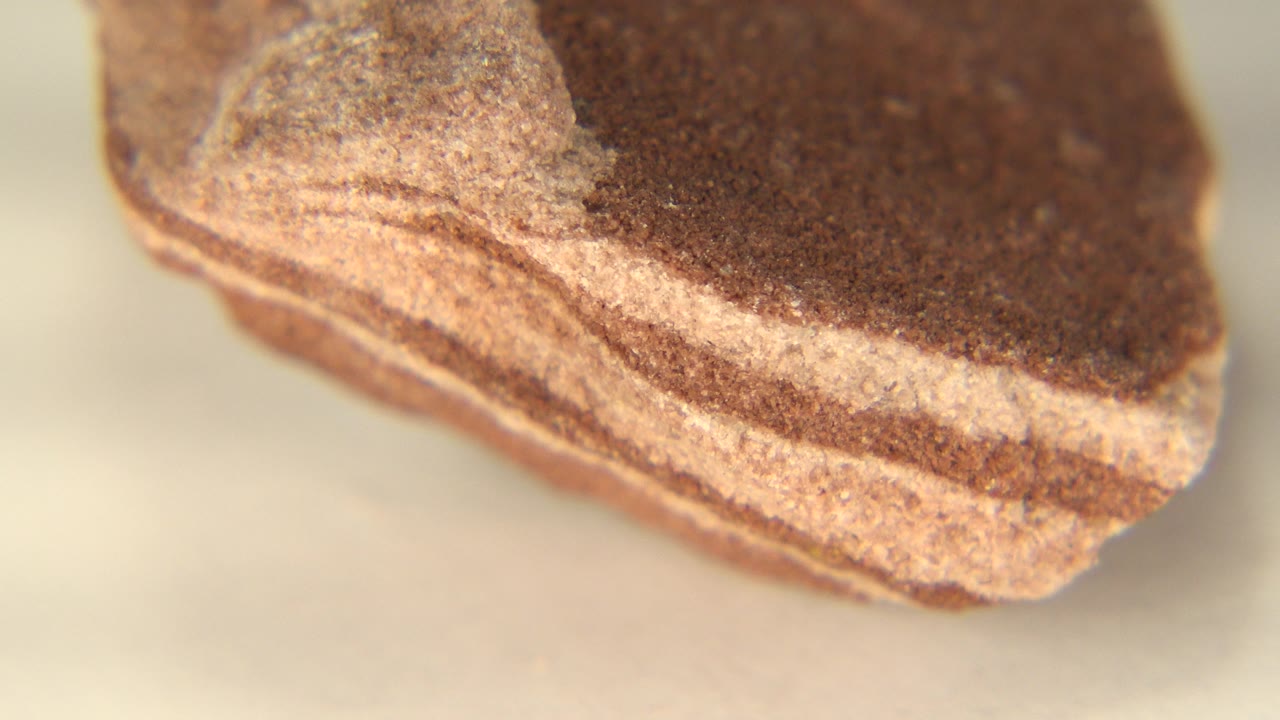 Close-up of a brown rock edge with tan layered rings on a pale table.