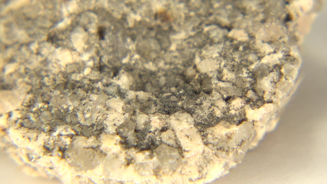 Rounded corner of a gray rock with beige grains on white.