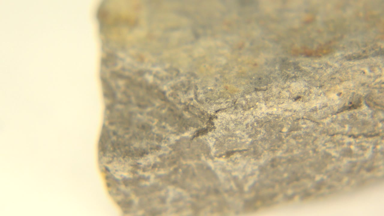 Close-up of a gray-brown rock on a pale tabletop in Westminster, Colorado, with rough surface texture and no visible people.