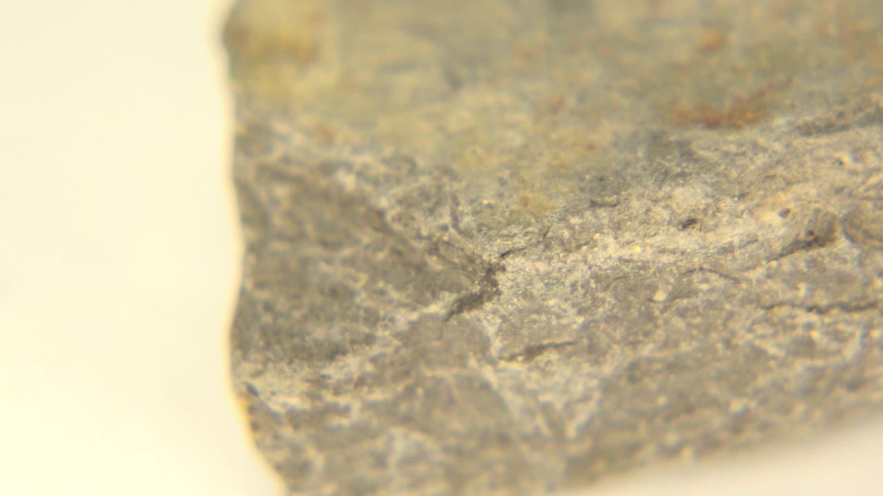 The rock remains tightly framed on the table in Westminster, Colorado, showing mottled gray, tan, and rust-colored surface marks with no visible people.