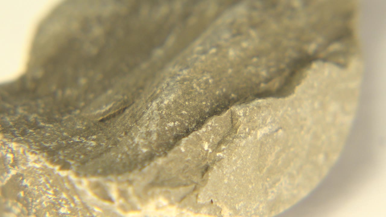 Close-up frame from Westminster, Colorado showing the rounded edge of a yellow-gray stone with white specks and no visible people.