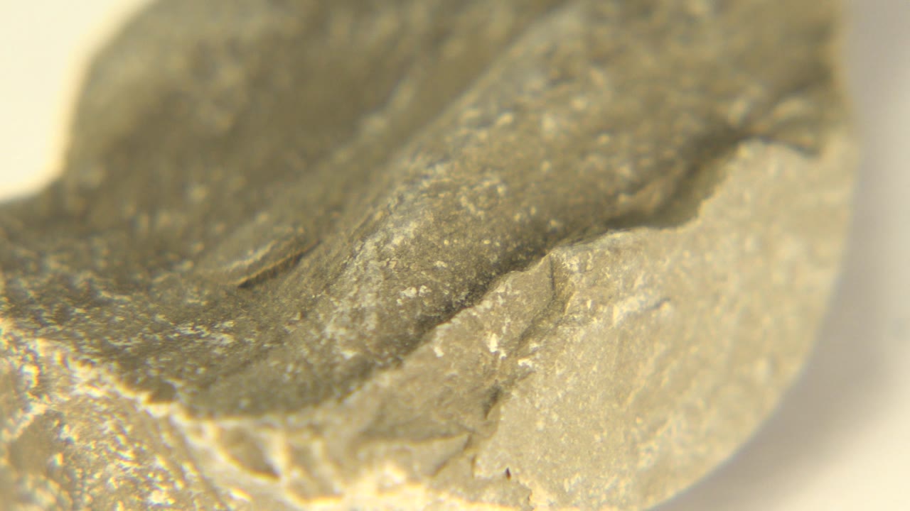 Macro view from Westminster, Colorado with the speckled upper stone surface slightly more centered and no visible people.