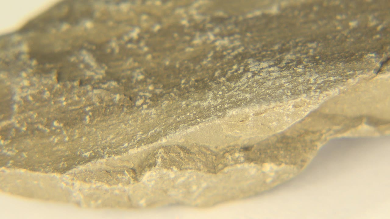 Magnified close view of a grey stone shard in Westminster, Colorado, with a rough upper surface, chipped lower edge, warm light, and no visible people.